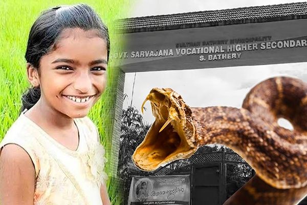 Girl Dies Due to Snake Bite in School