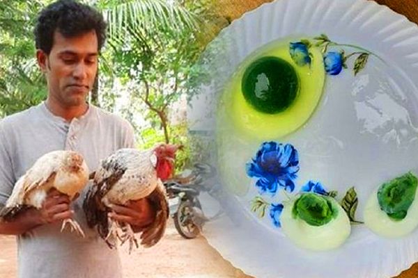 Hens Lay Green Yolk Eggs in Kerala