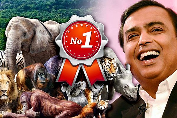 Reliance to Build World’s Largest Zoo in Gujarat