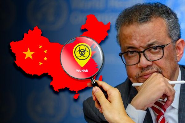 WHO Team Reaches China to Investigate Coronavirus Origins