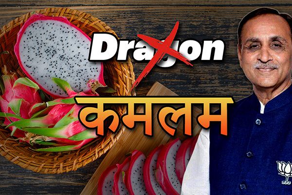 Gujarat Govt Decides to Rename Dragon Fruit to ‘Kamalam’