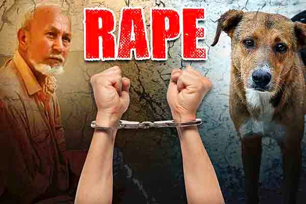 Old Man Arrested For Raping Street Dog In Mumbai