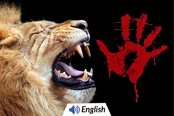Man Attacked by Lion at Alipore Zoo in Kolkata