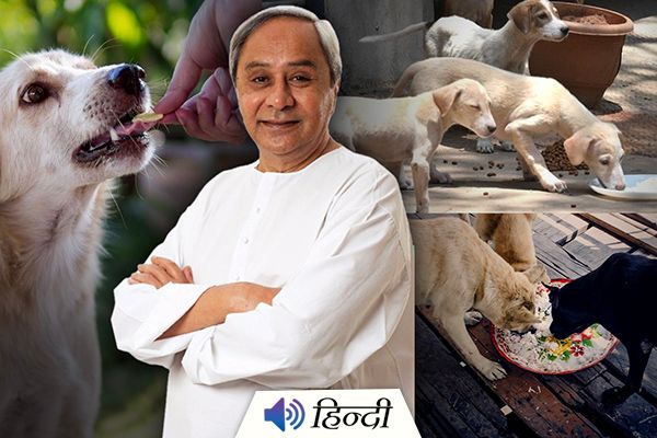 Odisha CM Gives Rs 60 Lakh to Feed Stray Animals