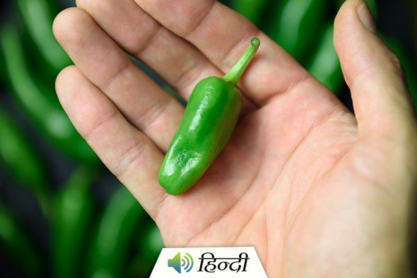 Health Benefits of Jalapenos