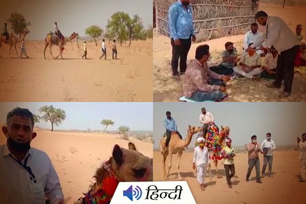 Rajasthan Teachers Travel on Camel To Students’ Houses