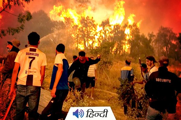 65 People Killed in Algerian Wildfires