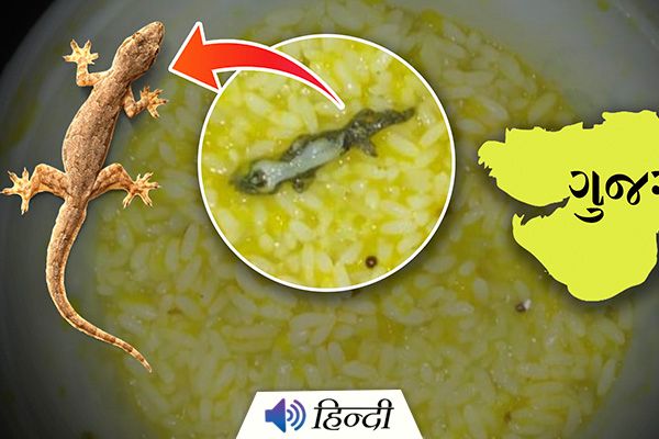 Cooked Lizard Found in Gandhinagar Hospital Food