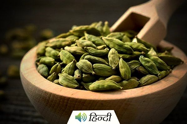 Health Benefits of Green Cardamom/ Elaichi