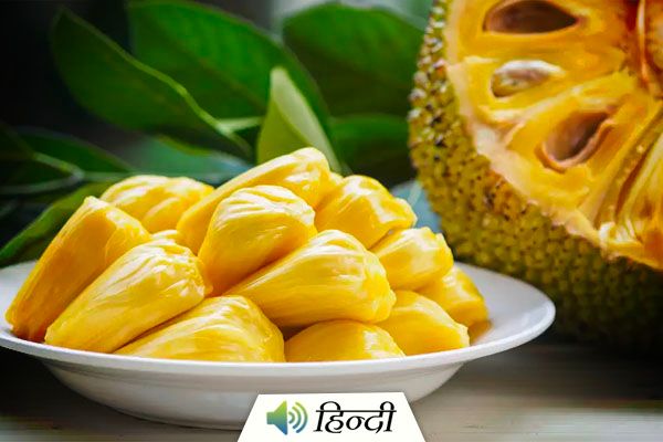 Health Benefits of Jackfruit Seeds