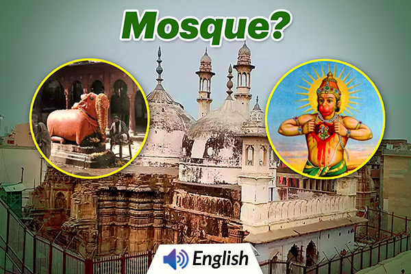 Lord Hanuman & Nandi Inside Gyanvapi Mosque?