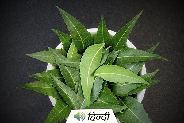 Health Benefits of Neem Leaves