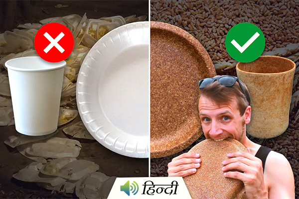 Instead of Plastic Plates Use Wheat and Jaggery Plates