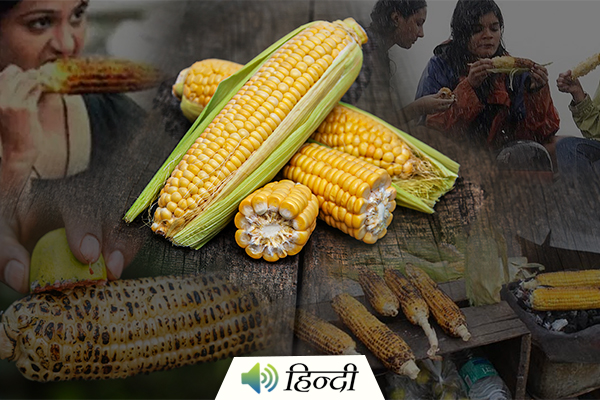 Corn Month: Amazing Benefits of Corn