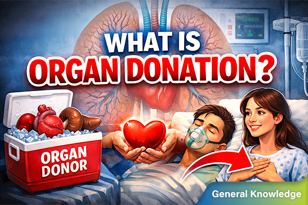 Explained: What is Organ Donation?