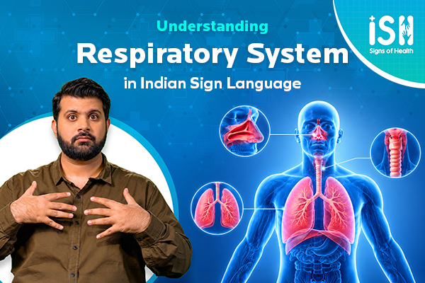 The Respiratory System: What Happens Every Time You Breathe?