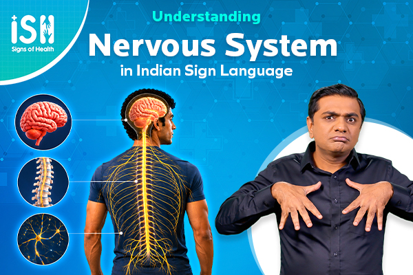 Understanding the Nervous System and Reflex Actions | Signs of Health
